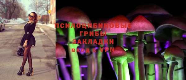 амф Володарск