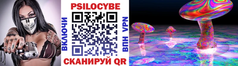 Купить где  Никольское  Галлюциногенные грибы MAGIC MUSHROOMS 